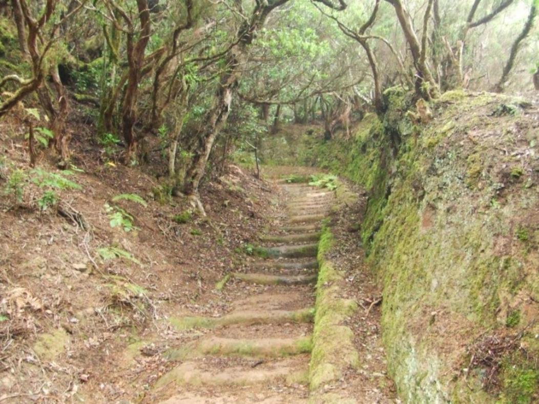 Casa Del Cu Bano B- Biosphere Reserve Santa Cruz de Tenerife Zewnętrze zdjęcie